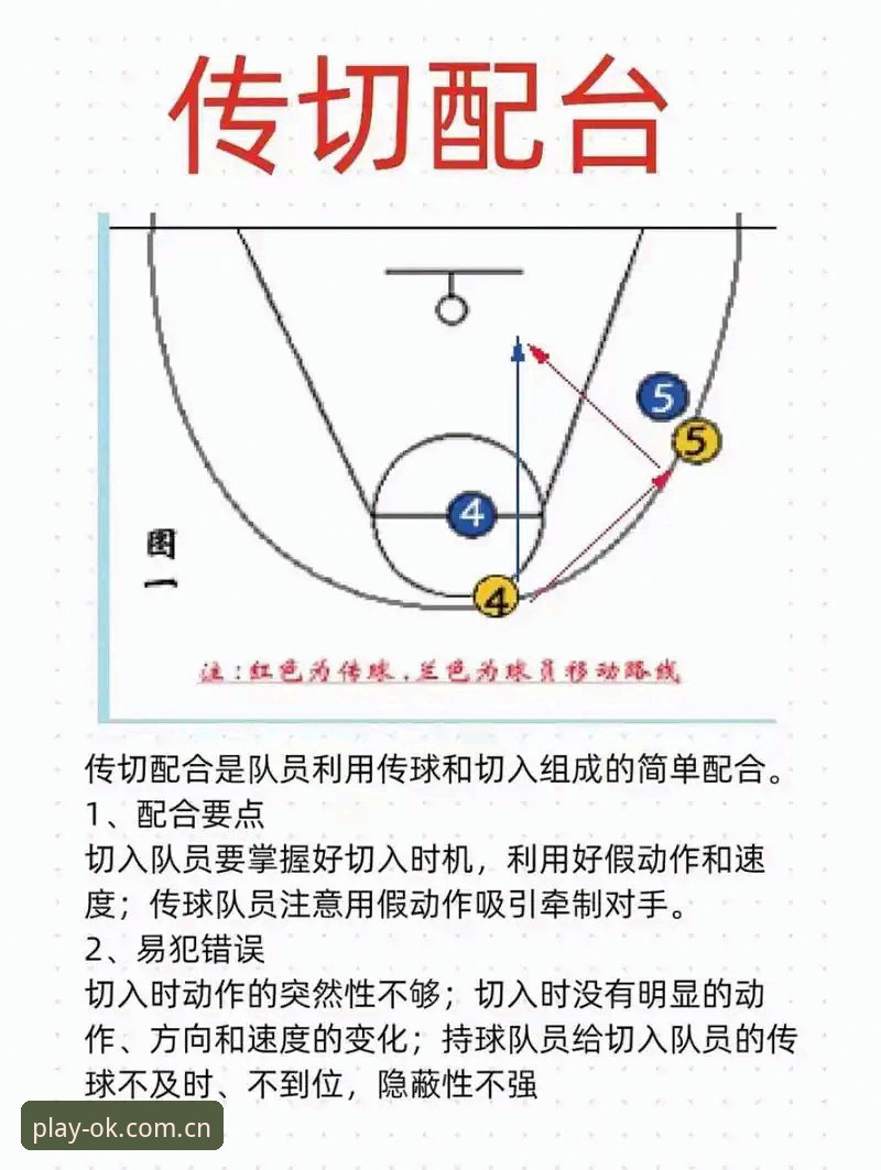 ok体育赛事分析必备 OK体育赛事分析必备技巧全面解析:从新手入门到实战应用